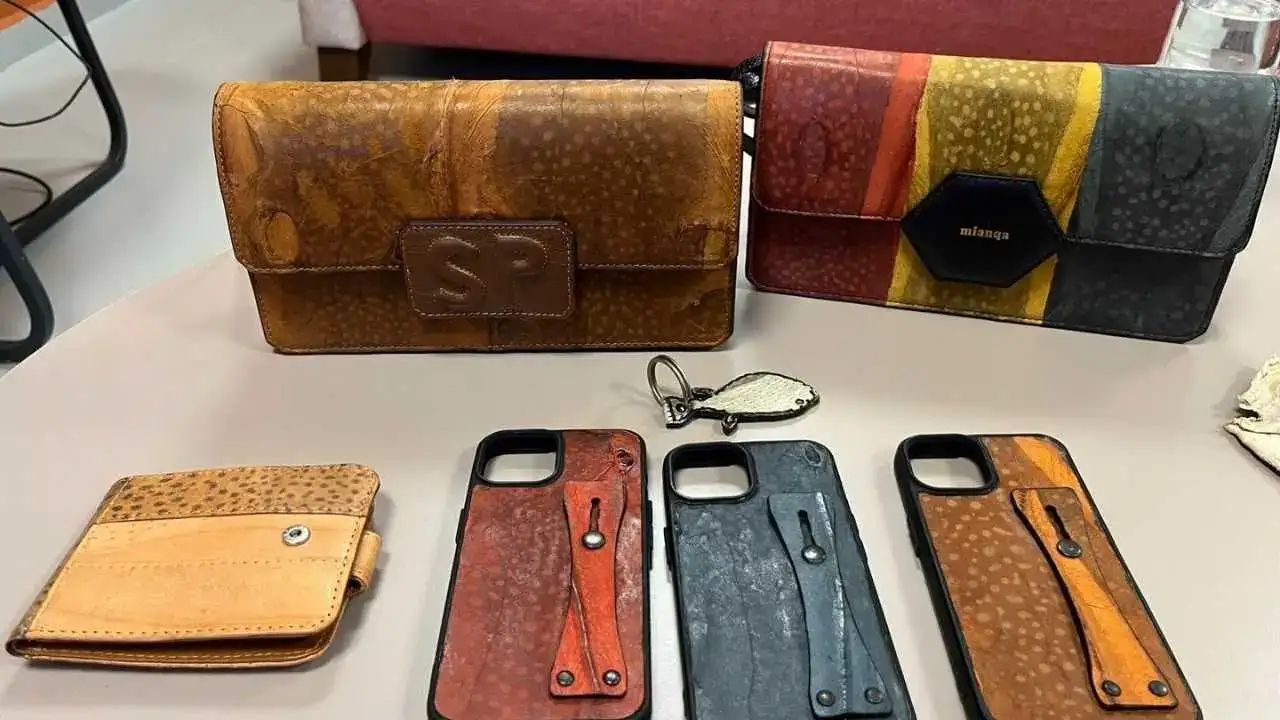 Alanya’da Balon Balığı Projesi Krize Dönüştü: Süreç Yargıya Taşındı! 5